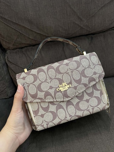 [S3331] Coach Bag